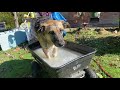 A New Use for the Gorilla Cart ;)