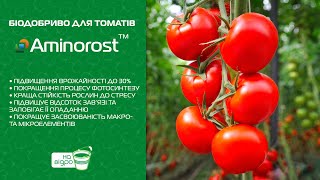 Біодобриво для томатів (помідор) Aminorost™