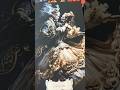 Цыганский Оракул от @AlessaTarot-gp6zi #tarot #красивоетаро #таро #новаяколода