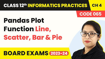 Pandas Plot Function (Line, Scatter, Bar and Pie) | Class 12 Informatics Practices Chapter 4 | 2024