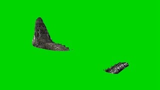 Crocodile Alligator Eats - Royalty Free Green Screen 3