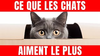 11 choses que les Chats aiment le PLUS ! (Êtes-vous dans la liste?!)