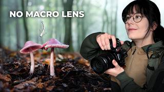 Information I Did Fungi Photography Without a Macro Lens News