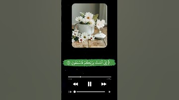 كروما قرآن _[ إني ءامنت بربكم فاسمعون ] _شاشة سوداء _ محمد هشام _ سورة يس#explore #follow #quran