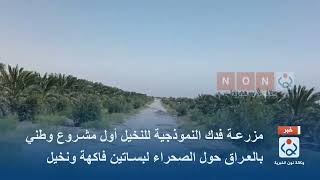 مزرعة فدك للنخيل في كربلاء اول مشروع وطني بالعراق حول الصحراء لبساتين فاكهة ونخيل