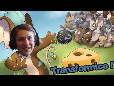 I play Transformice, and I will steal all the cheese...