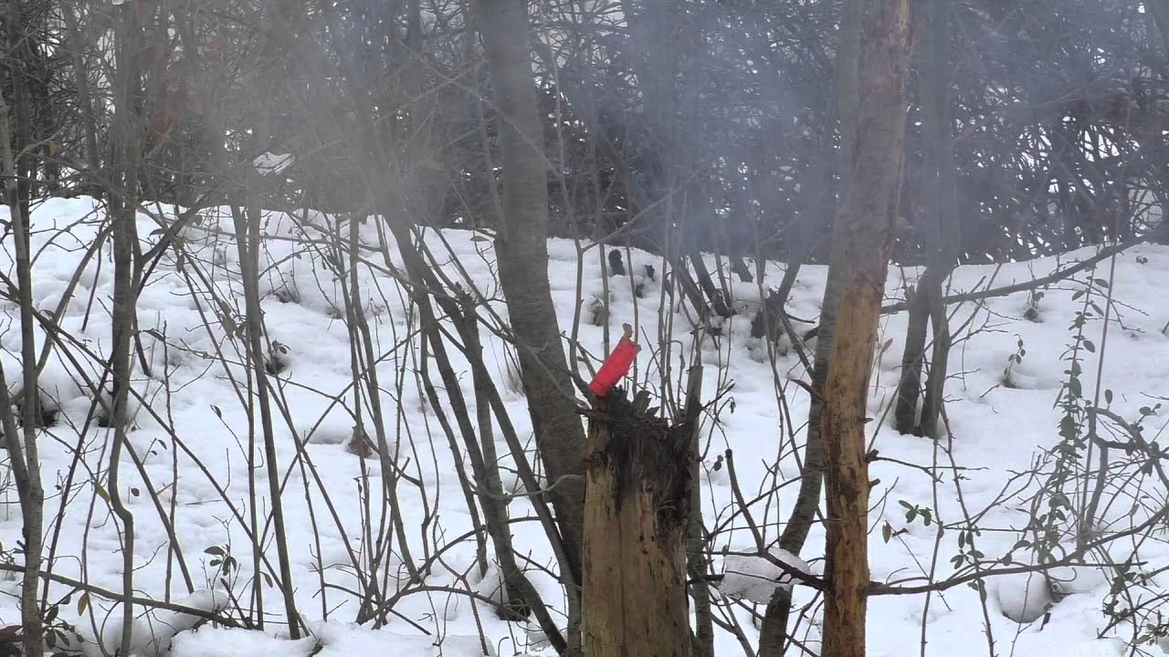 Big Booster 2 vs. Roter Korsar