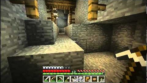 Minecraft 1.1 Co-Op Let