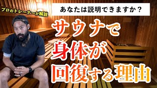 【サウナ】スポーツトレーナーが解説するサウナの効果！サウナはほぼHIIT！？
