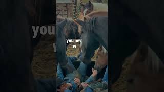 Horsing Around