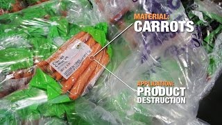 SSIs Shred of the Week: Carrots