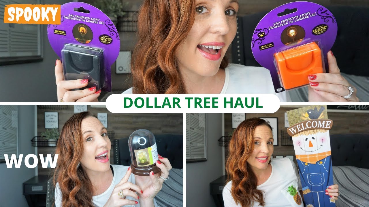 DOLLAR TREE HAUL| NEW FALL FINDS AUGUST 2020