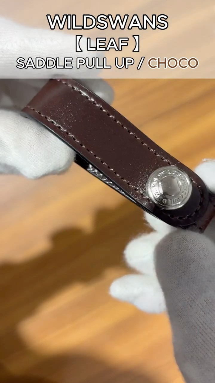 ワイルドスワンズ サドルプルアップ リーフ キーホルダー（チョコ