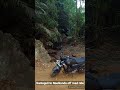 Off Road riding