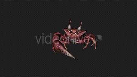 Crab Walk Pack 4 In 1 | Motion Graphics - Envato elements