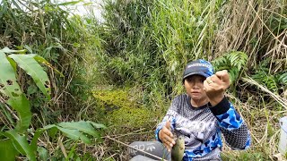 Cewek ini strike lagi!!! mudahnya mancing ikan di rawa pedalaman #DS-11
