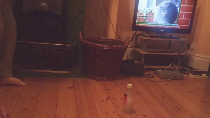 Bottle flip challenge (gone wrong)