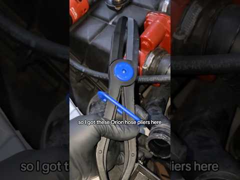 Princess Auto Fuel Line Clamps