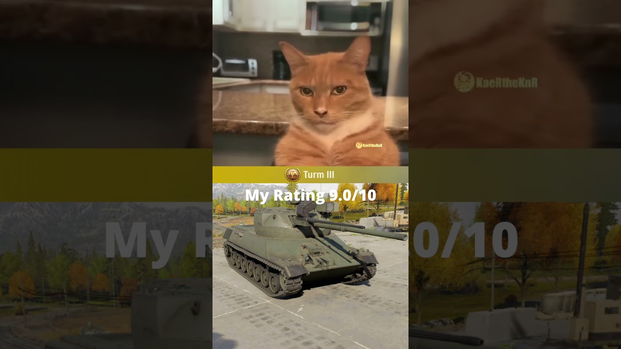 Rating German  Premium Tanks🤑 pt.2/War Thunder