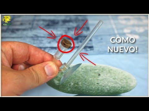 THE BEST WAY TO CLEAN CO2 DIFFUSERS **LOOKS LIKE NEW** || AquaTips