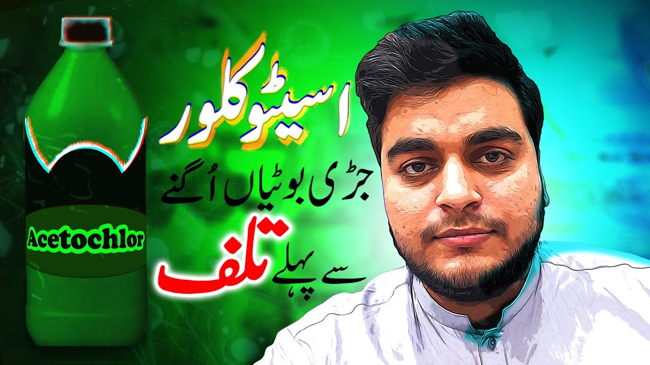 Acetochlor Herbicide_Toxic but Best Jadi buti maar spray in Hindi Urdu