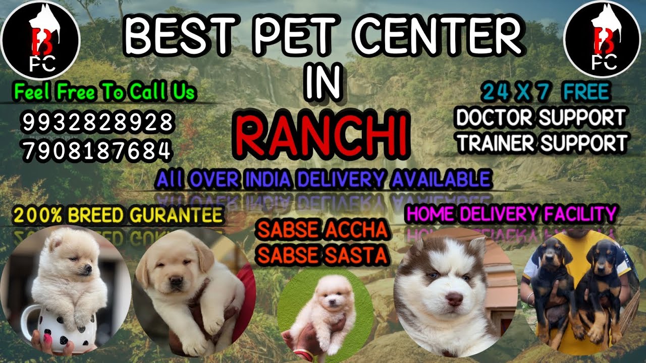 Cheapest Best Pet Shop In Ranchi with many more Facilities Bring For