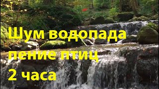 Шум лесного водопада, пение птиц. 🐠 Красивый водопад 2 часа. 🐠 White noise