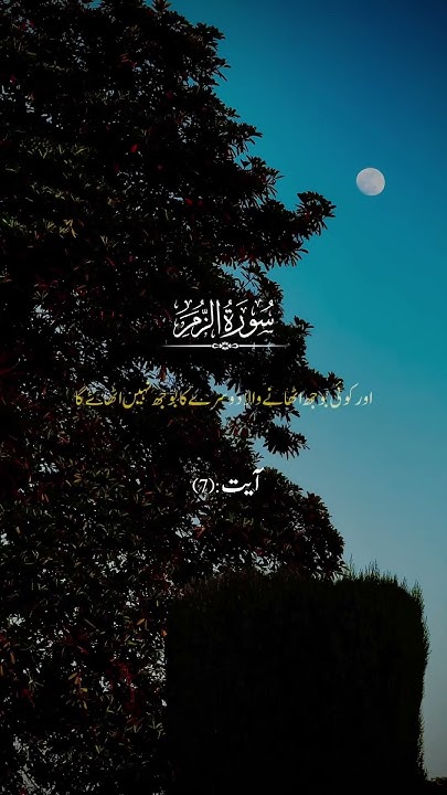 If You Are Grateful I Will Surely Increase You surah Ibrahim if-you-are-grateful-i-will-surely-increase-you-surah-ibrahim