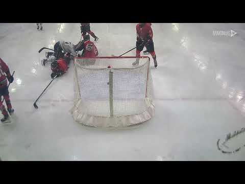 Patinaje y hockey