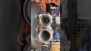 Celebrity Comparison between S&S 55 mm intake vs screaming eagle 64mm Net Worth