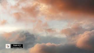 Catching Flies - Care 4 U