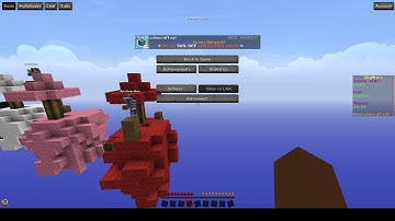 Cubecraft.net Cheater/Hacker report.