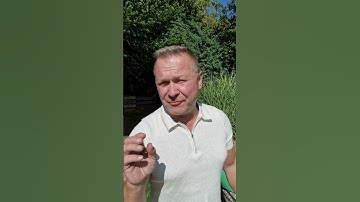 Thumbnail of Propagating Foxglove from seed, trying to skip a year