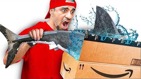 طلبت اغرب صندوق عشوائي بالعالم 😱📦 ( صندوق احلام العصر بسعر 2000 دولار )