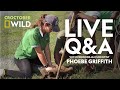 Gharials everything you need to know  croctober live qa  national geographic wild uk