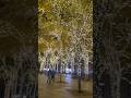 A magical walk. #nyc #christmaslights