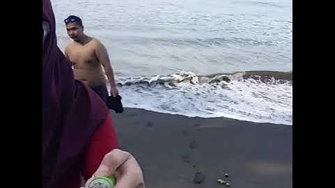 PANGANDARAN BATU KARAS BEACH| Green Canyon