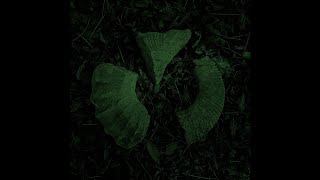 Hvl - Ks Dream Sequence