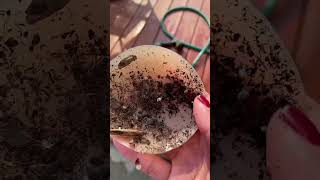 Hallobh Selbstklebende & Werdichte Nippel Pads