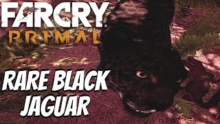 Far Cry Primal - Rare Black Jaguar Location