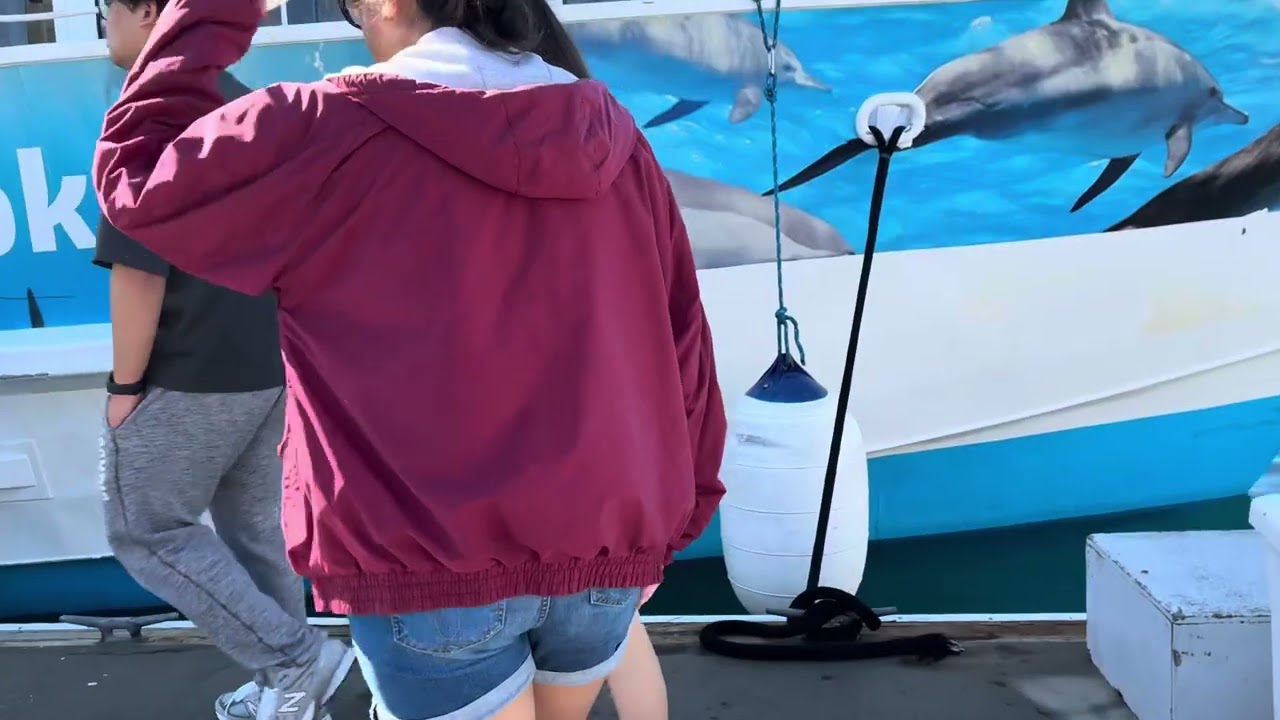 Captain Dave’s dolphin and whale watching safari  in Dana Point CA part 1