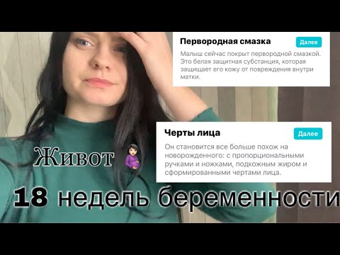 Дневник беременности ▪️18 недель 🤰🏻 Цервикометрия, низкая плацентация. Живот , вес.