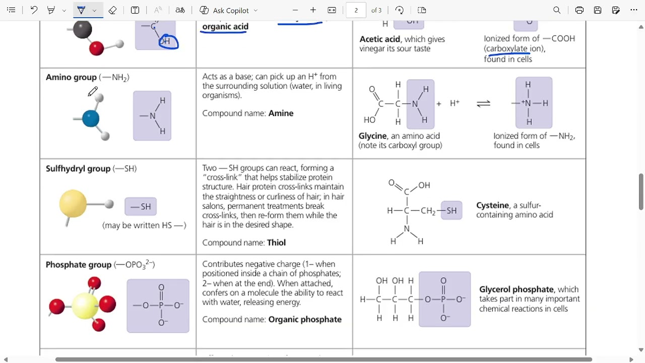 Campbell biology - Chapter 4 / concept 3