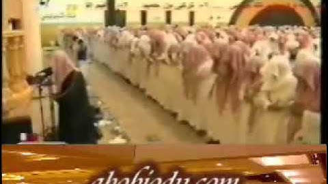 تلاوة خاشعة للشيخ ياسر الدوسري - الزلزلة والقارعة