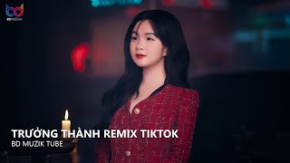 Không Một Ai Cạnh Bên Không Một Ai Sẻ Chia Remix - Trưởng Thành Remix Hot TikTok