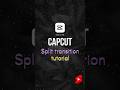 Spit transition Capcut tutorial | #trending #edit #shorts #shortvideo #youtubeshorts