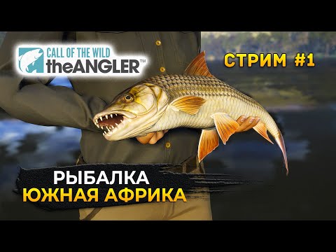 Видео: Стрим Call of the Wild: The Angler #1 - Рыбалка в Южной Африке DLC