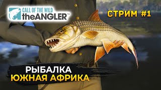 Стрим Call of the Wild: The Angler #1 - Рыбалка в Южной Африке DLC