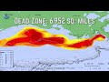 The Impact of Fertilizer Runoff on the Gulf of Mexico Ecosystem