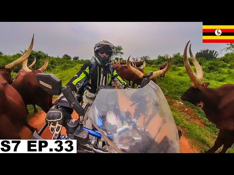 Video: Apa yang Dijangkakan pada Perjalanan Pertama Anda ke Afrika